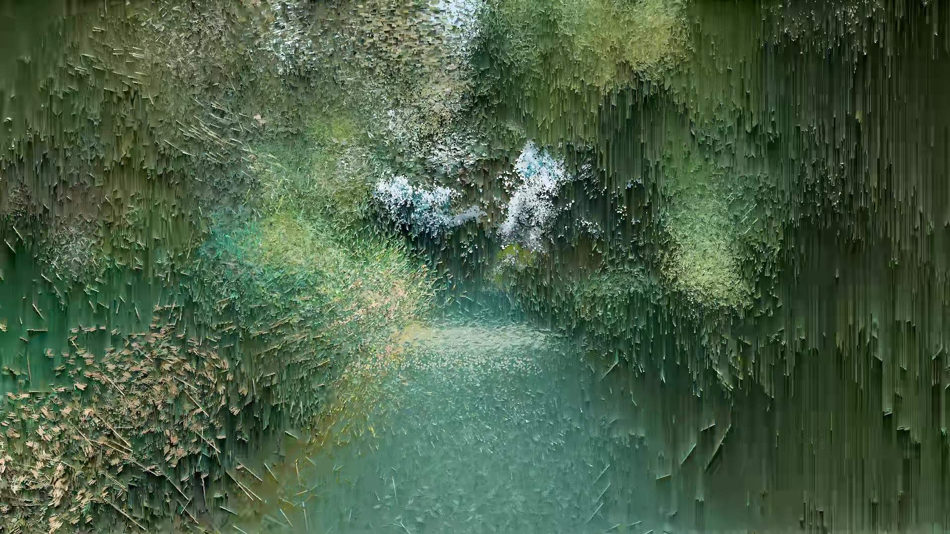 La Forme d'une Ville